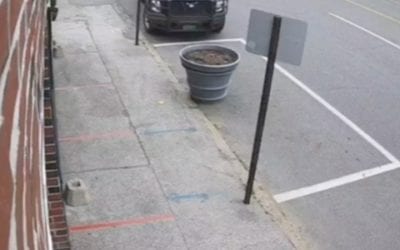 Thanks pal, we needed to turn the soil over anyways so the garden club could do their work…. loved the way you lined up the shot. #localbusiness #smallbusiness