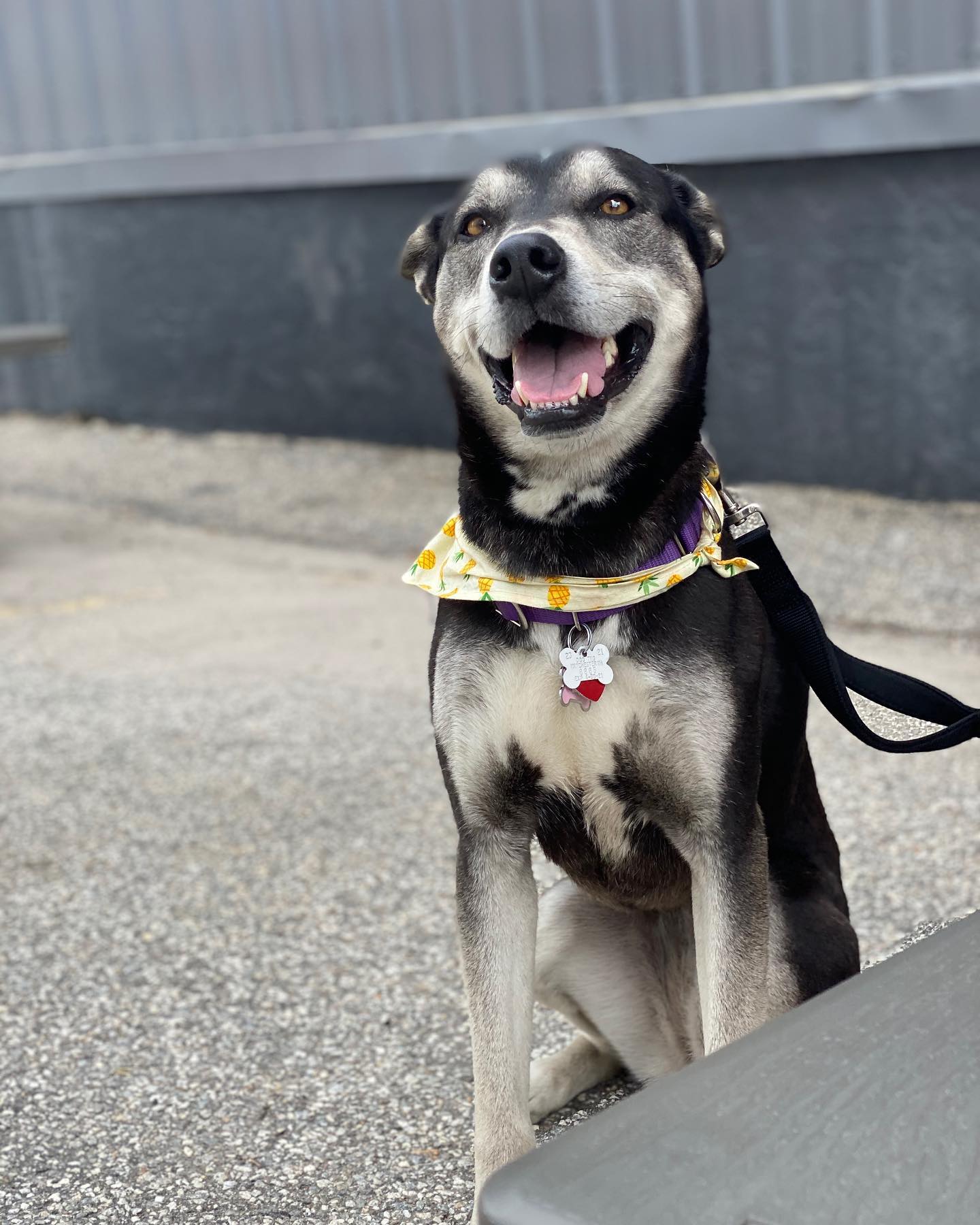 1038566611312930319106512485537250519989300n3 | Shoppers Pub and Eatery Its all smiles here at shoppers beautiful day out come on down