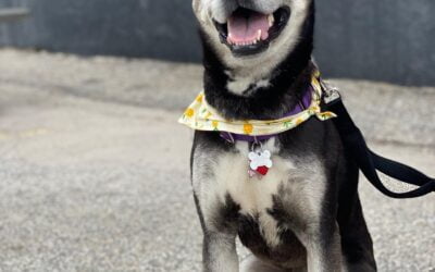 It’s all smiles here at shoppers, beautiful day out, come on down. #shoppersmht #localbusiness #outdoordining
