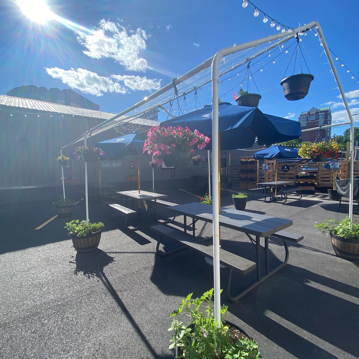 And to think 2 months ago this was just a parking lot. PARKIO FOR LIFE