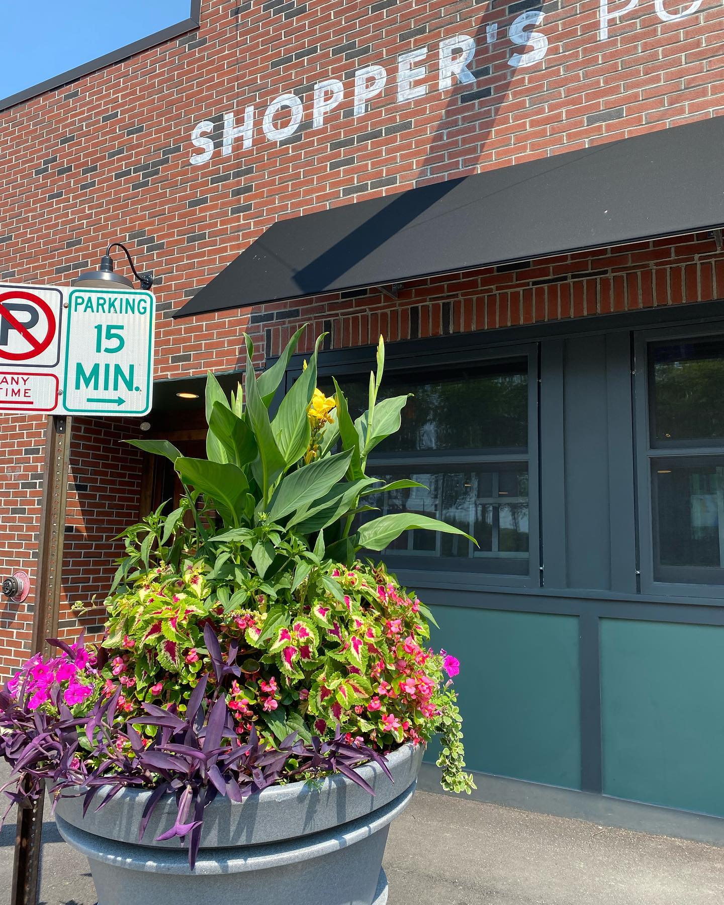 Dear anyone parking out front, flower pot looks incredible this year, don’t hit it this time.