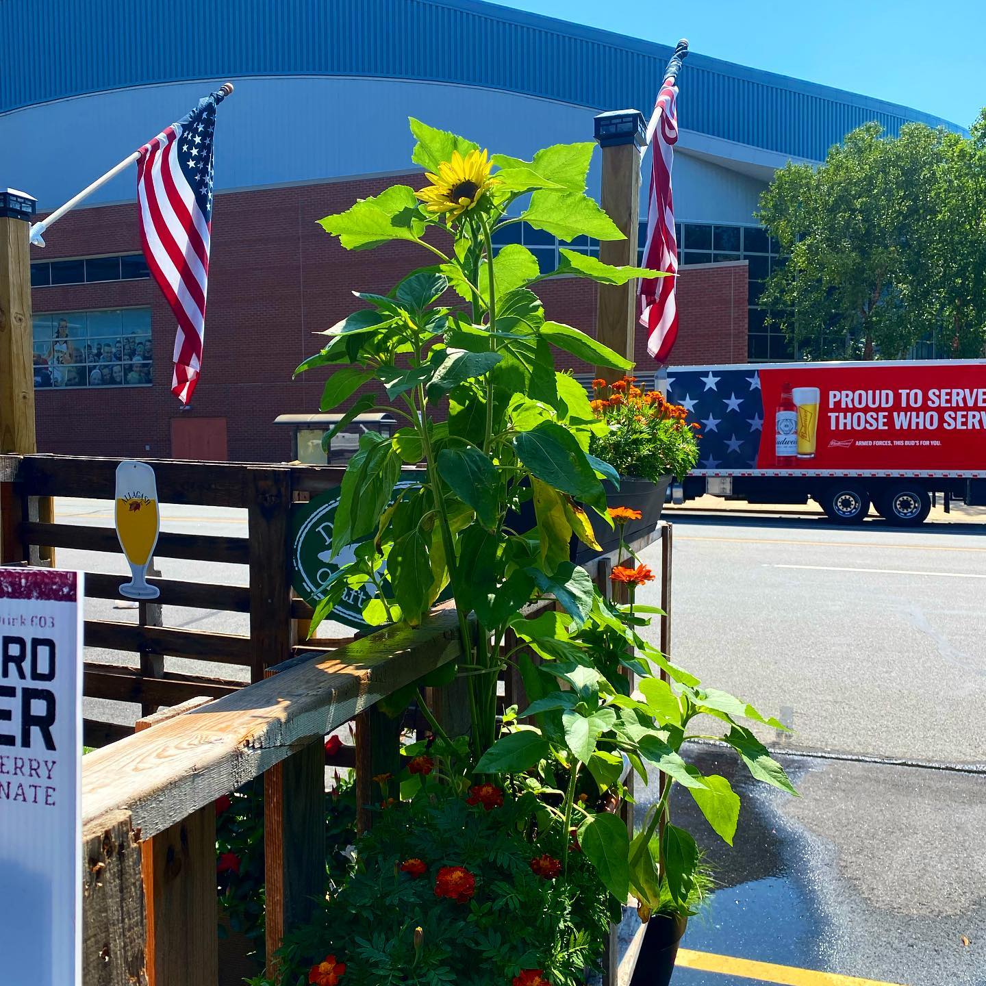 To our dearest customers, we love you. We really do. The amount of support you have given us and other local restaurants and business’s in the past year is amazing and incredible. We would not have made it through without you…. With that being said as of late it seems as if the tides are turning and there is a small percentage of customers (fairly new) that have decided that because we have relied so much on the support of our customers, that rules and respect can be tossed aside. Most of us have been over worked and down right tired from what the past year has thrown at us, between a staffing shortage and constant change in regulations and having to adapt to our surrounding we are simply worn down. We are not complaining but trying to explain where we are coming from when we say this. Vandalism to our establishment and disrespect towards our staff shall not be tolerated. And as most of our loyal followers know, we are not ones to sit back and let it happen. So on behalf of ourselves and our fellow local business owners we plead that you come back down to earth and just understand what we are constantly dealing with. It may seem like the effects of COVID are over from a customer stand point, but they are very real still from the employee side. If you have a problem simply respecting our staff and the work we are doing, then we ask you to not come back. We have some of the best customers in the world that we wouldn’t trade for anything. Just please keep in mind that we are not just your servers and bartenders, we are people too. Now please enjoy a picture of the only sunflower we were able to grow in on the patio with a super American background, thank you. -Nick, General Manager of Shoppers Pub and Eatery