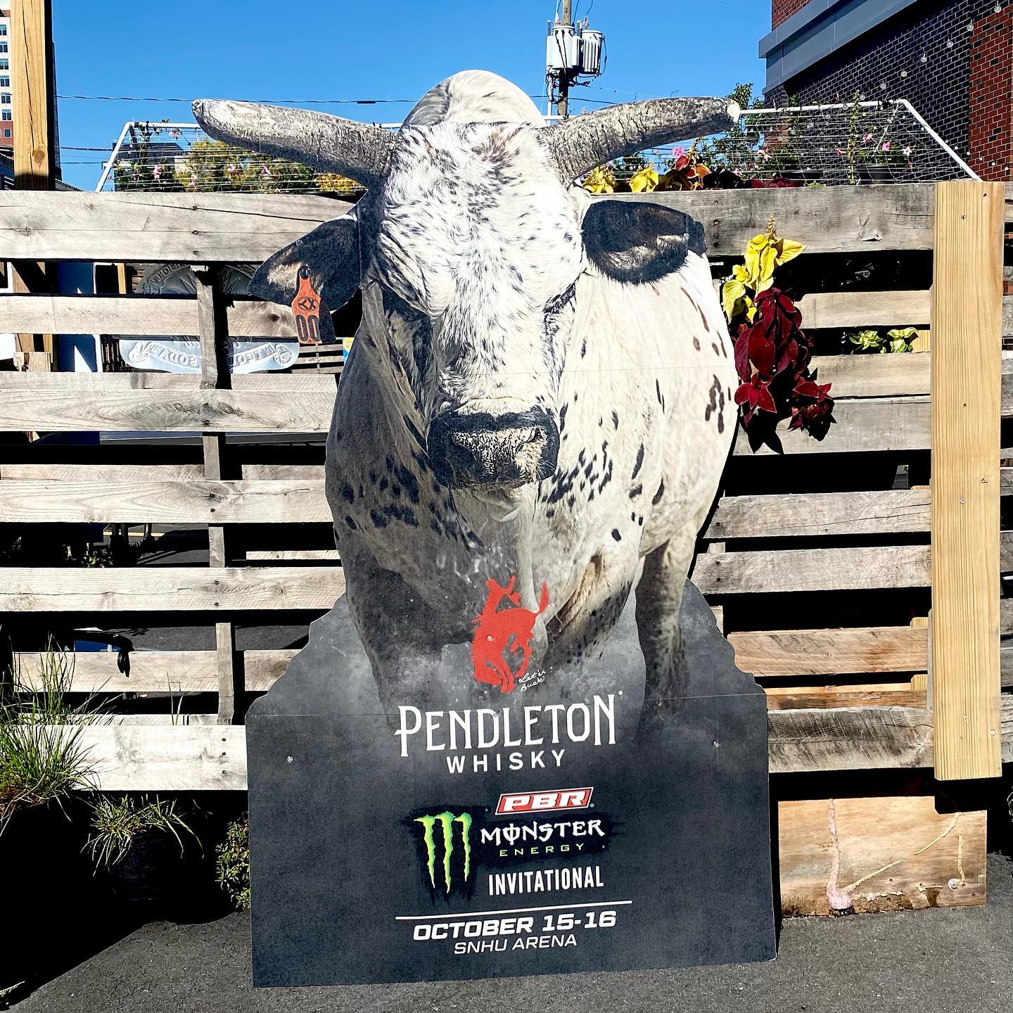 | Shoppers Pub and Eatery Mooooooooooooooooooooo