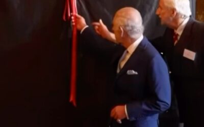 $30 tube and a za? Of frick yeah.