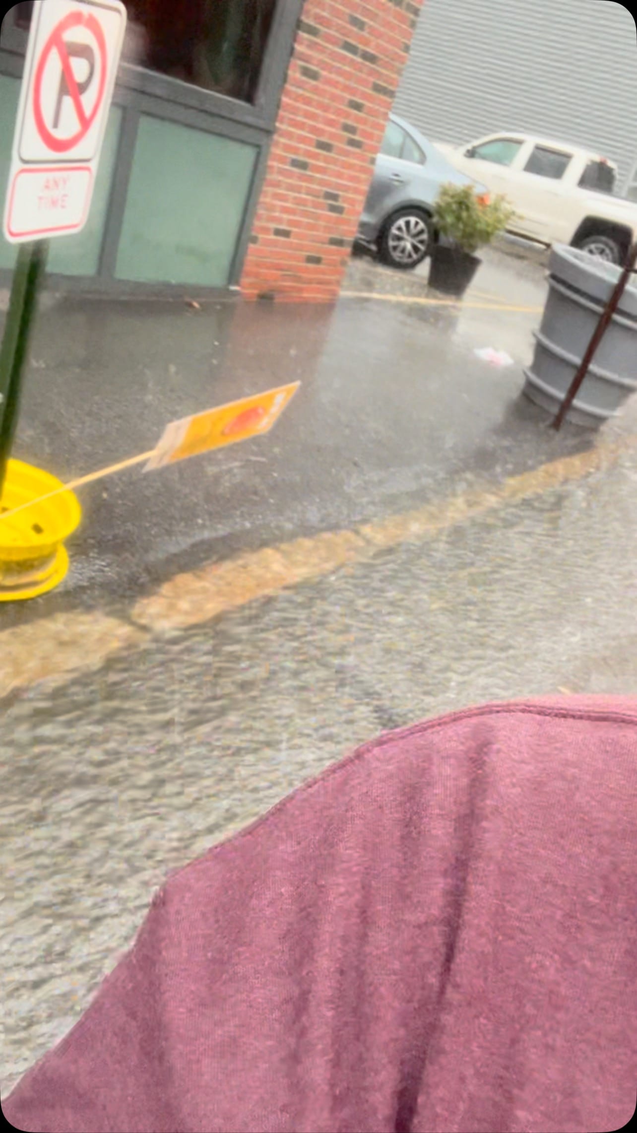 | Shoppers Pub and Eatery Wet dogs are still good dogs