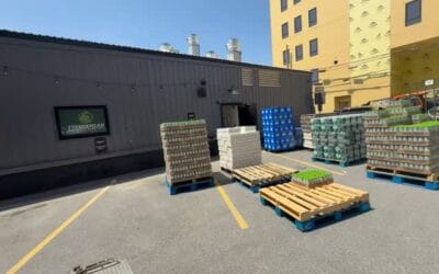 Who’s ready for phish?