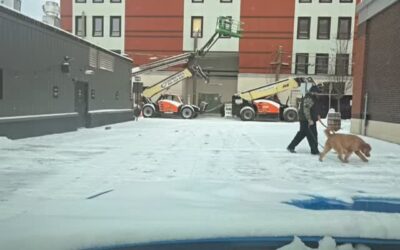 We had a plow guy last year, and then he just stopped showing up, how your doing well bud. ANYWAYS, since that day Frank and I been doing it by hand, hence why it looks like shit. But if you know someone who wants to pick up an account I’d thank them for it.