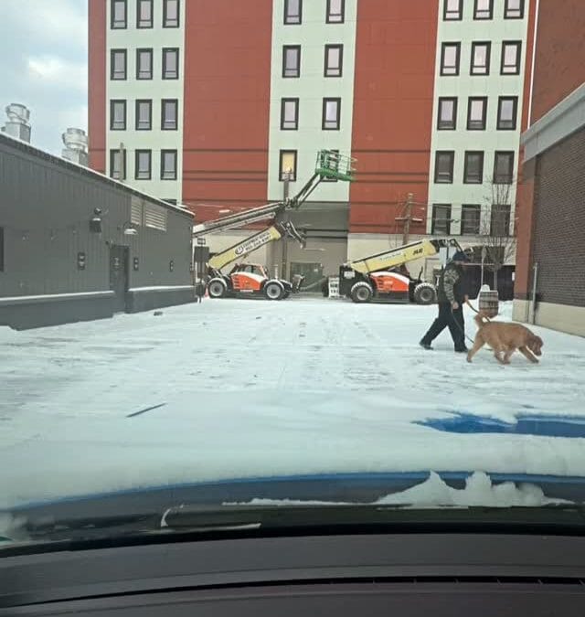 We had a plow guy last year, and then he just stopped showing up, how your doing well bud. ANYWAYS, since that day Frank and I been doing it by hand, hence why it looks like shit. But if you know someone who wants to pick up an account I’d thank them for it.